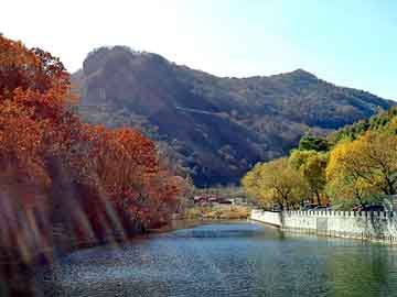 新澳天天开奖资料大全旅游团，泛目录被骗